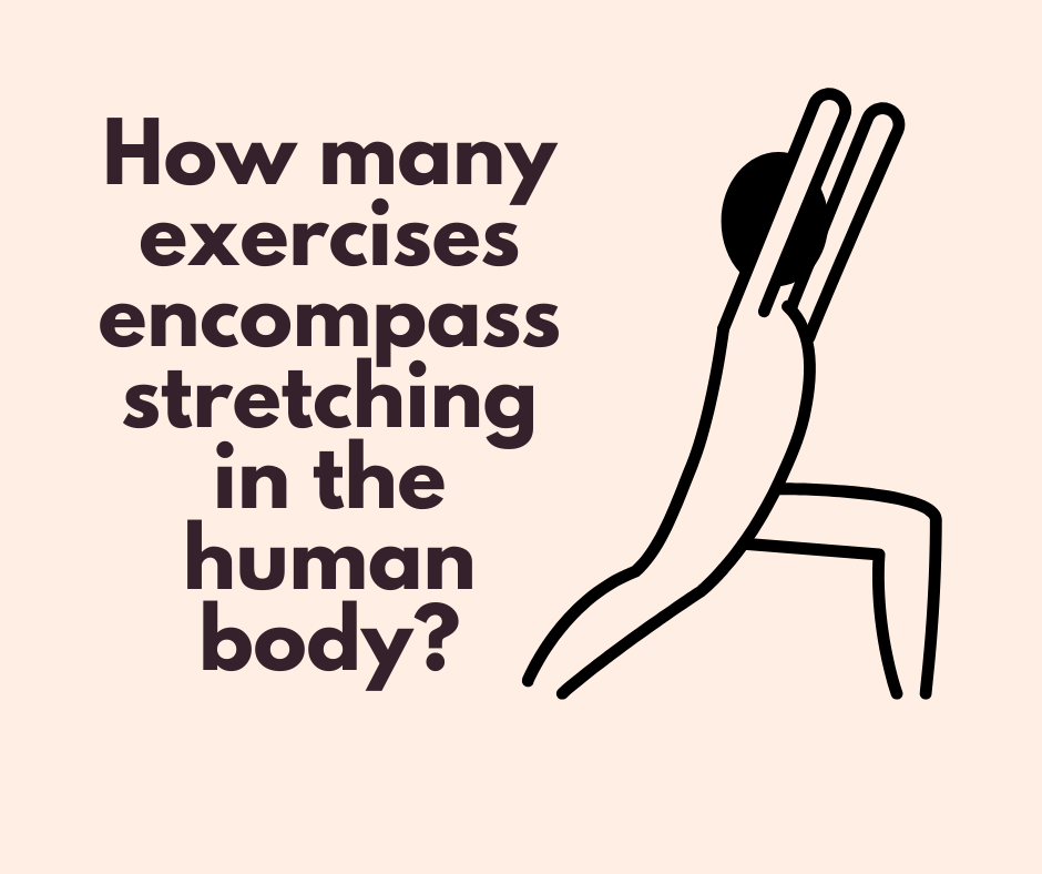 How many exercises encompass stretching in the human body?