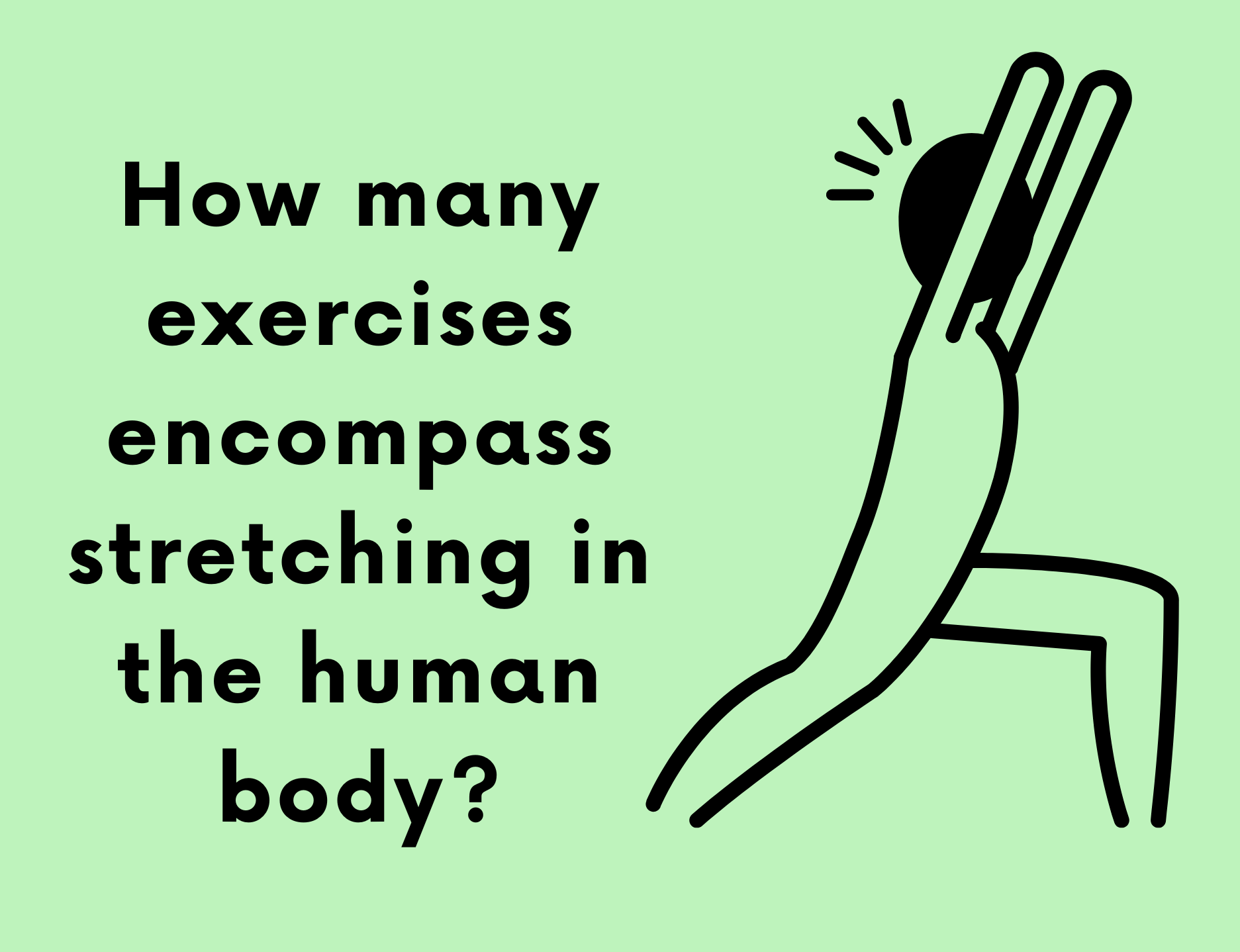 how-many-exercises-encompass-stretching-in-the-human-body