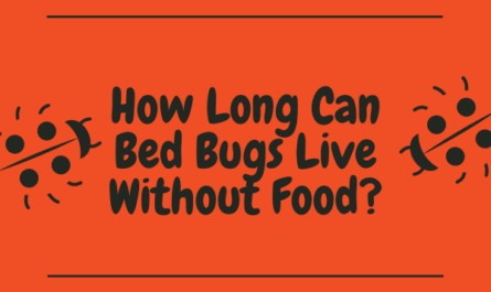 How Long Can Bed Bugs Live Without Food?