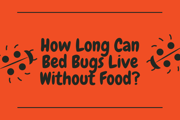 How Long Can Bed Bugs Live Without Food? Unveiling the Secrets of Bed Bug Survival