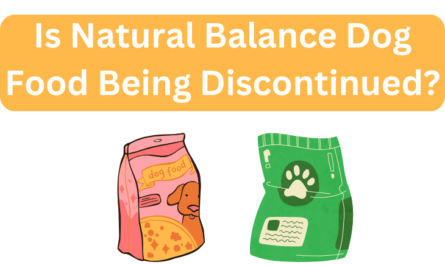 Is Natural Balance Dog Food Being Discontinued?