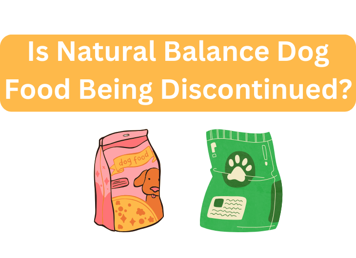 Is Natural Balance Dog Food Being Discontinued? 10 Important FAQs